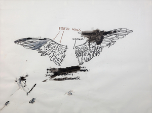 JEAN-MICHEL BASQUIAT - 無題（ハトの解剖学） - 紙に油彩、グラファイト、チョーク - 22 x 30 in.
