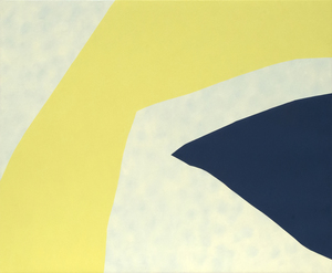 LUC BERNARD - Bords no. 6 - huile sur toile - 52 x 62 po.