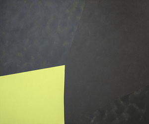 LUC BERNARD - Bords no. 8 - huile sur toile - 42 x 50 po.