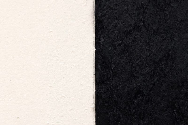 Photo of Richard Serra