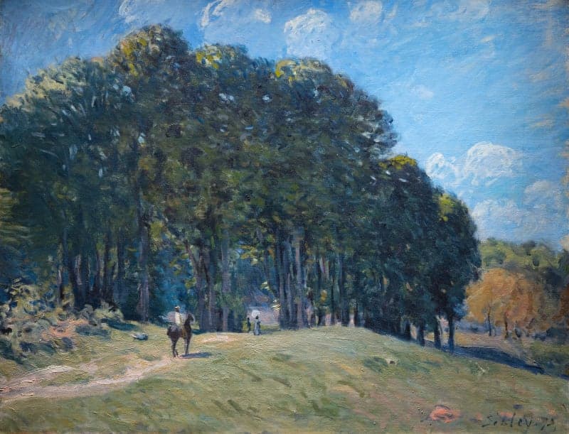 Photo of Alfred Sisley