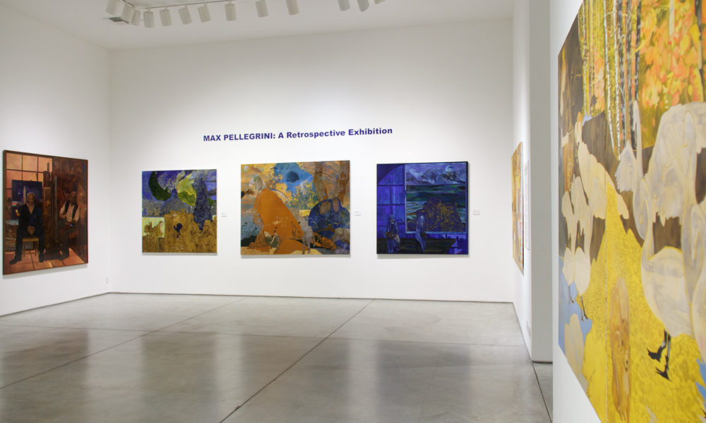 Pellegrini_install1
